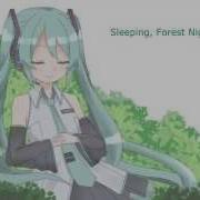 Sleeping Forest Night For Lamazep