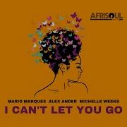 I Can T Let You Go Michelle Weeks