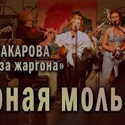 Маша Макарова И Медуза Жаргона Черная Моль