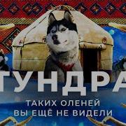 Аляска 05 Моя Душа