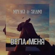 Miyagi Shami Вела Меня