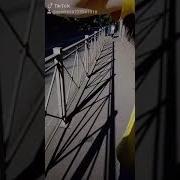 Эх Ты Жизнь Моя Гуманная
