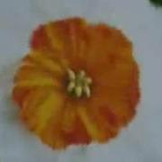 Заставки Погоды Метео Тайм Твк 1999 2001