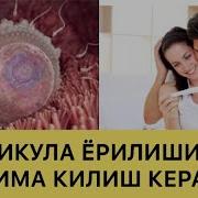 Фолликула Ёрилиши Учун Дорилар