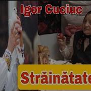 Igor Cuciuc Strainatatea