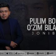 Pulim Bolsa Jigar Deganlar