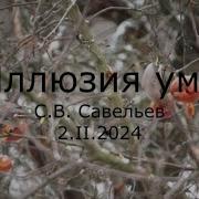 С В Савельев Иллюзия Ума