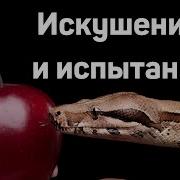 Искушение Испытания Самарин