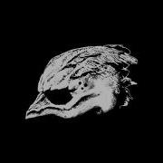 Legend Of The Seagullmen Full Album