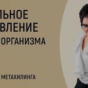 Медитации Марты Николаевой Гариной