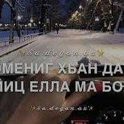 Хава Ибрагимова Хьан Дагна Со Йиц Елла Ма Боху