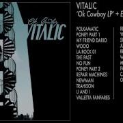 Vitalic My Friend Dario Remix