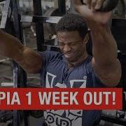 Breon Ansley 1 Week Out Road To Olympia 2018