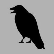 Crow Ringtone