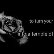 Rumi Open Your Wings Fly