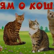 Кошко