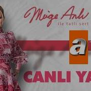 Atv 7 Canlı