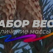 Саблиминал Набор Веса