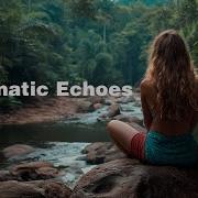 Relaxing Hang Drum Mix Enigmatic Shofik Enigmatic Echoes