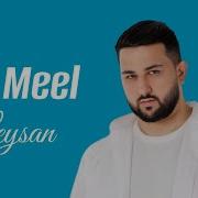 Leysan Jay Meel