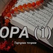 Коран Перевод На Таджикском Языке Скачать Mp3