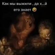 Как Мы Выжили Да Х Его Знает