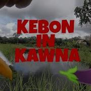 Kebon