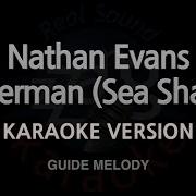 Nathan Evans Wellerman Минус