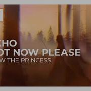 Follow The Princess Dokho