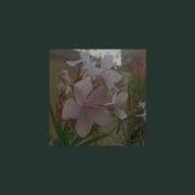 Oleander Slowed