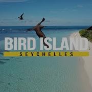 Bird Islands