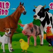 Animals For Kids