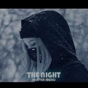 Alan Walker The Night