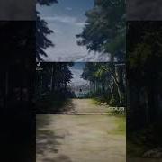 О Сестре Не Беспокойся