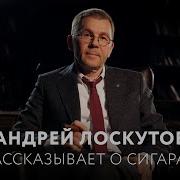 Автор Андрей Лоскутов