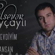 Elsever Goycayli Men Onu Sevdiym