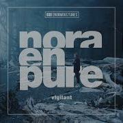 Vigilant Extended Mix Nora En Pure