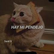 Ay Mi Pendejo Remix 10 Часов