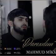 Mahmud Mikayilli 2025