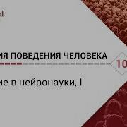 Биология Поведения Человека Лекция 10