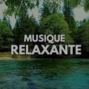 Moments De Harmonie Ensemble De Musiqle Zen Relaxante