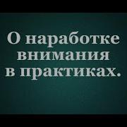 Школа Жизни Сорадение Работа Со Вниманием