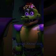Montgomery Gator