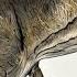 Rexy Sound Effects Jurassic World