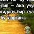 Singillarni Yo Qlab Turing Akajonlar