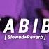 HABIBI LOFI Slowed Reverb Albania Remix Dj Gimi 2 AM LOFI TEXT AUDIO