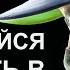 Никогда не соглашайся на работу в даркнет