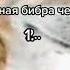 смачная бебра