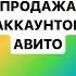 Мой телеграмм Https T Me Vitalich S авито пф отзывы верификация удалениеотзыва авитолог