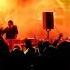 Catz N Dogz Wooded City Festival Szczecin PL